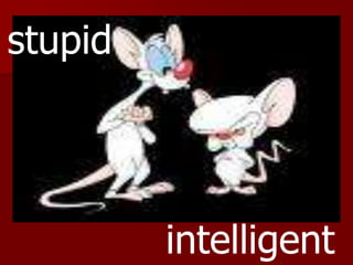stupidintelligent