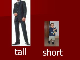 tallshort