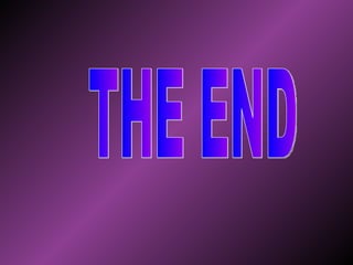 THE END 