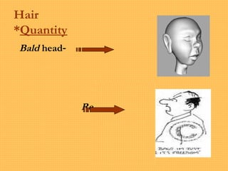 Hair
*Quantity
-Bald head
-Receding hair
 