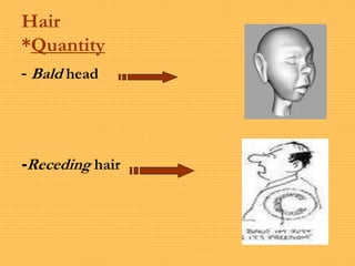 Hair
*Quantity
- Bald head
-Receding hair
 