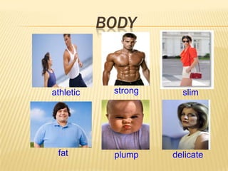 BODY
athletic strong
delicate
slim
fat plump
 
