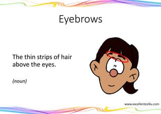 Eyebrows
The thin strips of hair
above the eyes.
(noun)
www.excellentesl4u.com
 