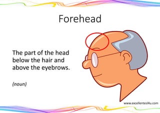 Forehead
The part of the head
below the hair and
above the eyebrows.
(noun)
www.excellentesl4u.com
 