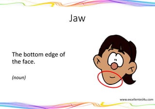 Jaw
The bottom edge of
the face.
(noun)
www.excellentesl4u.com
 