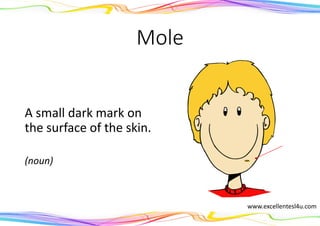 Mole
A small dark mark on
the surface of the skin.
(noun)
www.excellentesl4u.com
 