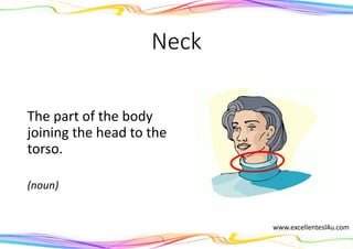 Neck
The part of the body
joining the head to the
torso.
(noun)
www.excellentesl4u.com
 