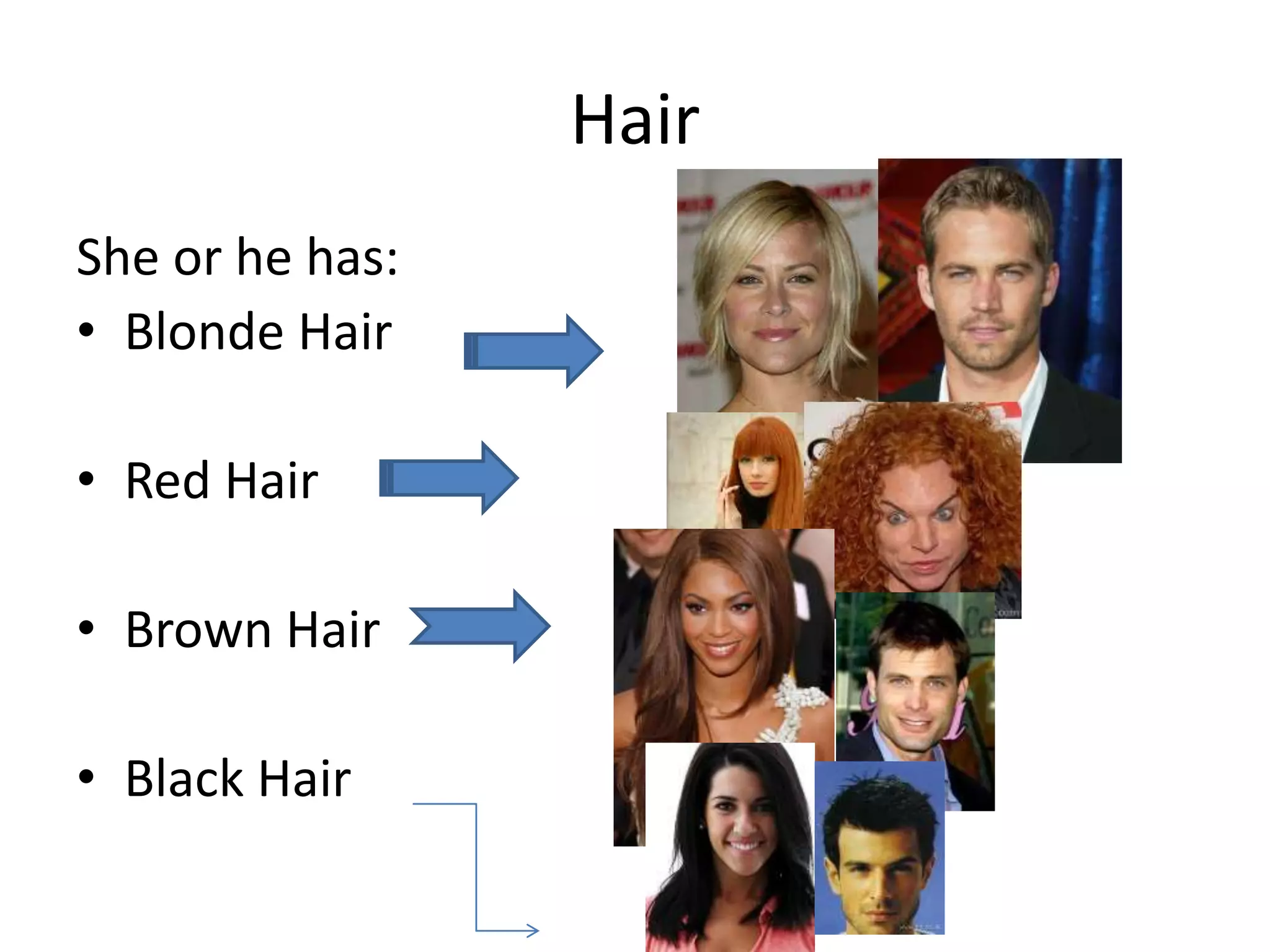 Hair
She or he has:
• Blonde Hair
• Red Hair
• Brown Hair
• Black Hair