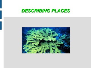 DESCRIBING PLACESDESCRIBING PLACES
 