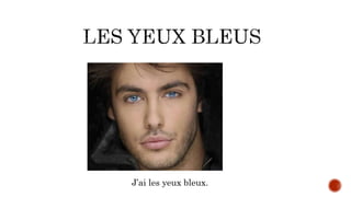 J’ai les yeux bleux.
 