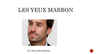 Il a les yeux marron.
 