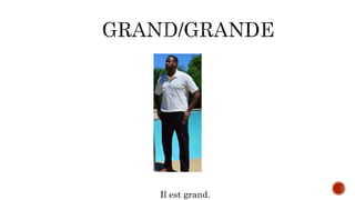 Il est grand.
 