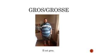 Il est gros.
 