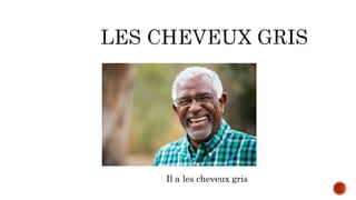 Il a les cheveux gris
 