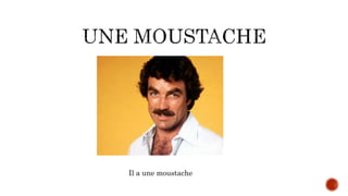 Il a une moustache
 