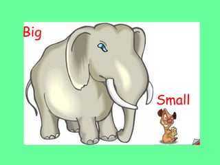 Big
Small
 