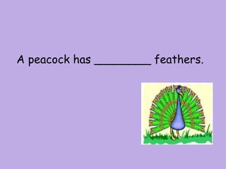A peacock has ________ feathers.
 