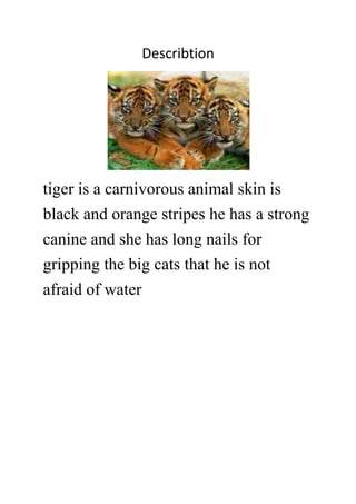 Describtion
tiger is a carnivorous animal skin is
black and orange stripes he has a strong
canine and she has long nails for
gripping the big cats that he is not
afraid of water
 