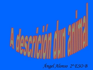Ángel Alonso 2º ESO B
 