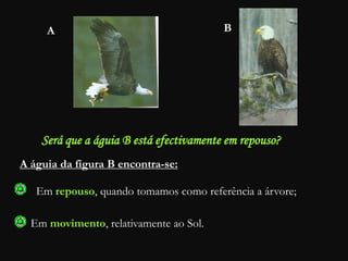 A B
Será que a águia B está efectivamente em repouso?
A águia da figura B encontra-se:
Em repouso, quando tomamos como referência a árvore;
Em movimento, relativamente ao Sol.
 