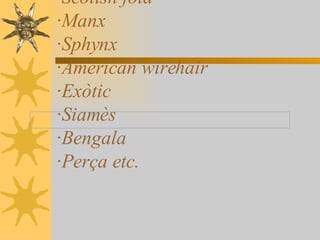 Els gats són uns animals de companyia o salvatges.Són mamífers. Hi ha de diferents races: ·Scotish fold ·Manx ·Sphynx ·American wirehair ·Exòtic ·Siamès ·Bengala ·Perça etc. 