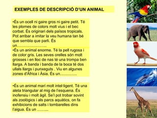 EXEMPLES DE DESCRIPCIÓ D’UN ANIMAL
•És un ocell ni gaire gros ni gaire petit. Té
les plomes de colors molt vius i el bec
corbat. És originari dels països tropicals.
Pot arribar a imitar la veu humana tan bé
que sembla que parli. És
un…………………..
•És un animal enorme. Té la pell rugosa i
de color gris. Les seves orelles són molt
grosses i en lloc de nas té una trompa ben
llarga. A banda i banda de la boca té dos
ullals llargs i punxeguts . Viu en algunes
zones d'Àfrica i Àsia. És un………….
•És un animal marí molt intel·ligent. Té una
aleta triangular al mig de l’esquena. És
inofensiu i molt àgil. Se’l pot trobar sovint
als zoològics i als parcs aquàtics, on fa
exhibicions de salts i tombarelles dins
l’aigua. És un ……...

 