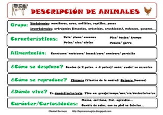 DESCRIPCIÓN DE ANIMALES
Grupo:

Vertebrados: mamíferos, aves, anfibios, reptiles, peces
Invertebrados: artrópodos (insectos, arácnidos, crustáceos), moluscos, gusanos...

Características:
Alimentación:

Pelo/ pluma/ escamas

Pico/ hocico/ trompa

Patas/ alas/ aletas

Pezuña/ garra

Carnívoro/ herbívoro/ insectívoro/ omnívoro/ parásito

¿Cómo se desplaza?

Camina (a 2 patas, a 4 patas)/ nada/ vuela/ se arrastra

¿Cómo se reproduce?
¿Dónde vive?

Vivíparo (Vientre de la madre)/ Ovíparo (huevos)

Es doméstico/salvaje. Vive en: granja/campo/mar/río/desierto/selva

Carácter/Curiosidades:
©Isabel Bermejo

Manso, cariñoso, fiel, agresivo...
Cambia de color, con su piel se fabrica...

http://lapiceromagico.blogspot.com

 