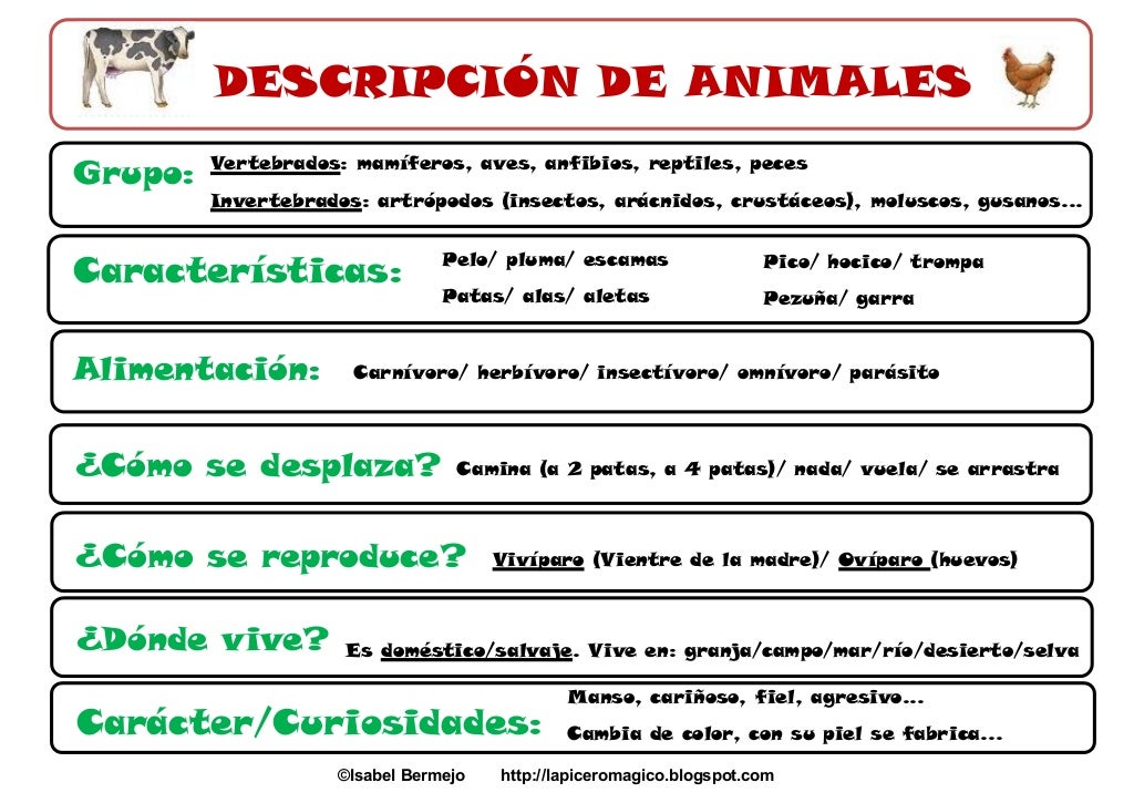 DESCRIPCIÓN DE ANIMALES
Grupo:

Vertebrados: mamíferos, aves, anfibios, reptiles, peces
Invertebrados: artrópodos (insecto...