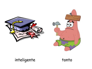 inteligente tonto
 