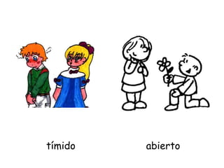 tímido abierto
 