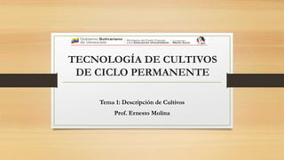 TECNOLOGÍA DE CULTIVOS
DE CICLO PERMANENTE
Tema 1: Descripción de Cultivos
Prof. Ernesto Molina
 