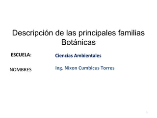 Descripción de las principales familias
             Botánicas
ESCUELA:    Ciencias Ambientales

NOMBRES     Ing. Nixon Cumbicus Torres




                                          1
 