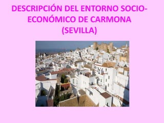 DESCRIPCIÓN DEL ENTORNO SOCIO-
   ECONÓMICO DE CARMONA
           (SEVILLA)
 