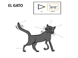 EL GATO
 