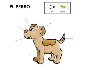 EL PERRO
 