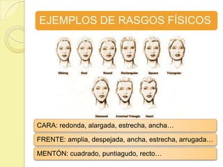 EJEMPLOS DE RASGOS FÍSICOS




CARA: redonda, alargada, estrecha, ancha…

FRENTE: amplia, despejada, ancha, estrecha, arrugada…

MENTÓN: cuadrado, puntiagudo, recto…
 