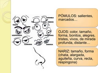 PÓMULOS: salientes,
marcados…


OJOS: color, tamaño,
forma, bonitos, alegres,
tristes, vivos, de mirada
profunda, distante…

NARIZ: tamaño, forma
(chata, alargada,
aguileña, curva, recta,
respingona)
 