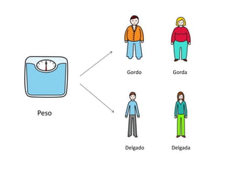 Peso
Gordo Gorda
Delgado Delgada