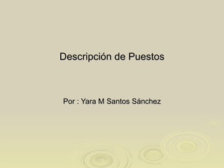 Descripción de Puestos Por : Yara M Santos Sánchez 