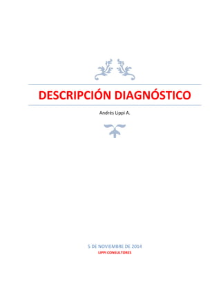 DESCRIPCIÓN DIAGNÓSTICO 
Andrés Lippi A. 
5 DE NOVIEMBRE DE 2014 
LIPPI CONSULTORES 
 