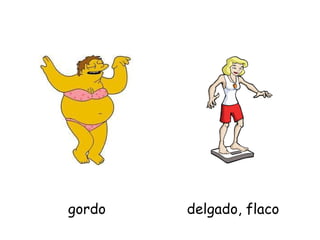gordo delgado, flaco 