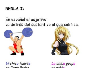 REGLA I: En español el adjetivo  va detrás del sustantivo al que califica. El  chic o  fuert e   La  chic a  guap a se llama Pedro .   es rubi a . 