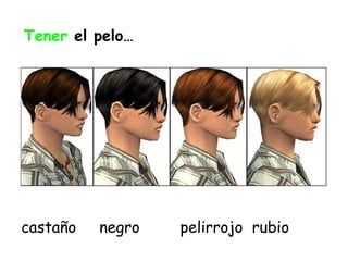 castaño  negro pelirrojo  rubio Tener  el pelo… 