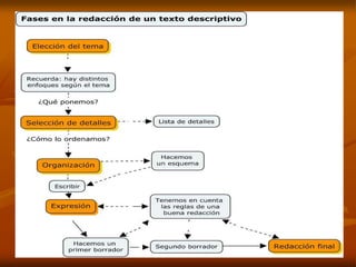 Texto descriptivo: presentación y actividades.
