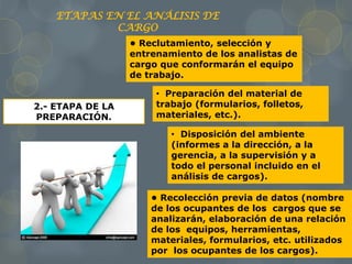 2.- ETAPA DE LA
PREPARACIÓN.
• Reclutamiento, selección y
entrenamiento de los analistas de
cargo que conformarán el equipo
de trabajo.
• Preparación del material de
trabajo (formularios, folletos,
materiales, etc.).
• Disposición del ambiente
(informes a la dirección, a la
gerencia, a la supervisión y a
todo el personal incluido en el
análisis de cargos).
• Recolección previa de datos (nombre
de los ocupantes de los cargos que se
analizarán, elaboración de una relación
de los equipos, herramientas,
materiales, formularios, etc. utilizados
por los ocupantes de los cargos).
ETAPAS EN EL ANÁLISIS DE
CARGO
 