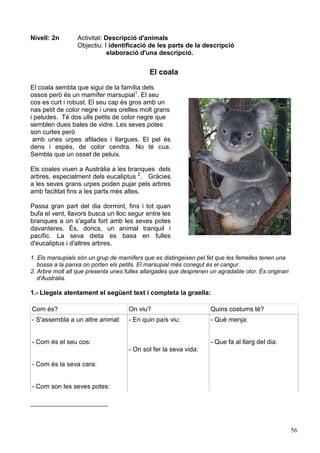 56
Nivell: 2n Activitat: Descripció d'animals
Objectiu: I identificació de les parts de la descripció
elaboració d'una descripció.
El coala
El coala sembla que sigui de la família dels
ossos però és un mamífer marsupial1
. El seu
cos es curt i robust. El seu cap és gros amb un
nas petit de color negre i unes orelles molt grans
i peludes. Té dos ulls petits de color negre que
semblen dues bales de vidre. Les seves potes
son curtes però
amb unes urpes afilades i llargues. El pel és
dens i espès, de color cendra. No té cua.
Sembla que un osset de peluix.
Els coales viuen a Austràlia a les branques dels
arbres, especialment dels eucaliptus 2
. Gràcies
a les seves grans urpes poden pujar pels arbres
amb facilitat fins a les parts més altes.
Passa gran part del dia dormint, fins i tot quan
bufa el vent, llavors busca un lloc segur entre les
branques a on s'agafa fort amb les seves potes
davanteres. És, doncs, un animal tranquil i
pacífic. La seva dieta es basa en fulles
d'eucaliptus i d'altres arbres.
1. Els marsupials són un grup de mamífers que es distingeixen pel fet que les femelles tenen una
bossa a la panxa on porten els petits. El marsupial més conegut és el cangur.
2. Arbre molt alt que presenta unes fulles allargades que desprenen un agradable olor. És originari
d'Austràlia.
1.- Llegeix atentament el següent text i completa la graella:
Com és? On viu? Quins costums té?
- S'assembla a un altre animal:
- Com és el seu cos:
- Com és la seva cara:
- Com son les seves potes:
- En quin país viu:
- On sol fer la seva vida:
- Què menja:
- Que fa al llarg del dia:
 