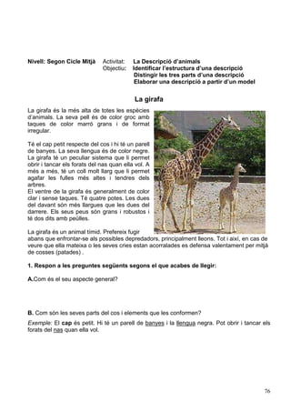 76
Nivell: Segon Cicle Mitjà Activitat: La Descripció d’animals
Objectiu: Identificar l’estructura d’una descripció
Distingir les tres parts d’una descripció
Elaborar una descripció a partir d’un model
La girafa
La girafa és la més alta de totes les espècies
d’animals. La seva pell és de color groc amb
taques de color marró grans i de format
irregular.
Té el cap petit respecte del cos i hi té un parell
de banyes. La seva llengua és de color negre.
La girafa té un peculiar sistema que li permet
obrir i tancar els forats del nas quan ella vol. A
més a més, té un coll molt llarg que li permet
agafar les fulles més altes i tendres dels
arbres.
El ventre de la girafa és generalment de color
clar i sense taques. Té quatre potes. Les dues
del davant són més llargues que les dues del
darrere. Els seus peus són grans i robustos i
té dos dits amb peülles.
La girafa és un animal tímid. Prefereix fugir
abans que enfrontar-se als possibles depredadors, principalment lleons. Tot i així, en cas de
veure que ella mateixa o les seves cries estan acorralades es defensa valentament per mitjà
de cosses (patades) .
1. Respon a les preguntes següents segons el que acabes de llegir:
A.Com és el seu aspecte general?
B. Com són les seves parts del cos i elements que les conformen?
Exemple: El cap és petit. Hi té un parell de banyes i la llengua negra. Pot obrir i tancar els
forats del nas quan ella vol.
 