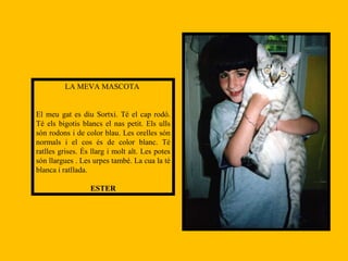 LA MEVA MASCOTA  El meu gat es diu Sortxi. Té el cap rodó. Té els bigotis blancs el nas petit. Els ulls són rodons i de color blau. Les orelles són normals i el cos és de color blanc. Té ratlles grises. És llarg i molt alt. Les potes són llargues . Les urpes també. La cua la té blanca i ratllada.  ESTER 