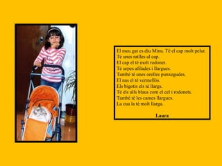 El meu gat es diu Minu. Té el cap molt pelut. Té unes ratlles al cap. El cap el té molt rodonet. Té urpes afilades i llargues. També té unes orelles punxegudes. El nas el té vermellós. Els bigotis els té llargs. Té els ulls blaus com el cel i rodonets. També té les cames llargues. La cua la té molt llarga. Laura 