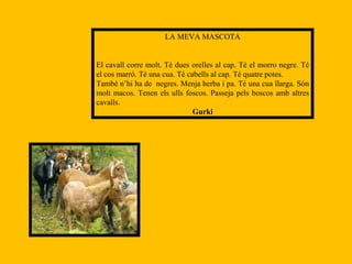 LA MEVA MASCOTA El cavall corre molt. Té dues orelles al cap. Té el morro negre. Té el cos marró. Té una cua. Té cabells al cap. Té quatre potes. També n’hi ha de  negres. Menja herba i pa. Té una cua llarga. Són molt macos. Tenen els ulls foscos. Passeja pels boscos amb altres cavalls. Gurki 